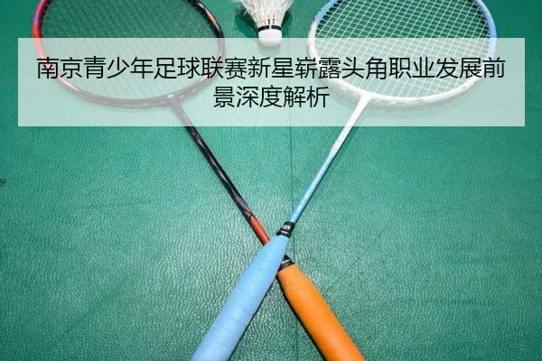 南京青少年足球联赛新星崭露头角职业发展前景深度解析 | Bwin sports